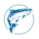 AIDSA